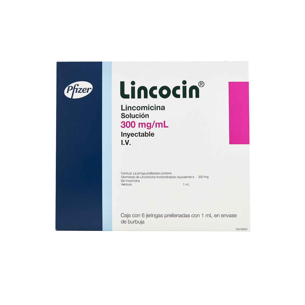 LINCOCIN 300MG INFANTIL C 6 JGA 1ML