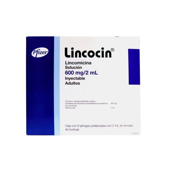 LINCOCIN 600MG ADULTO C 6 JGA 3ML LINCOMICINA