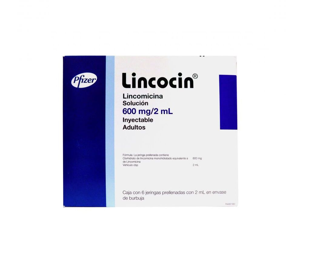 LINCOCIN 600MG ADULTO C 6 JGA 3ML LINCOMICINA