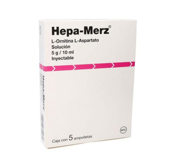 HEPAMERZ IV 5G C 5 AMP 10ML LORNITINA L.A.