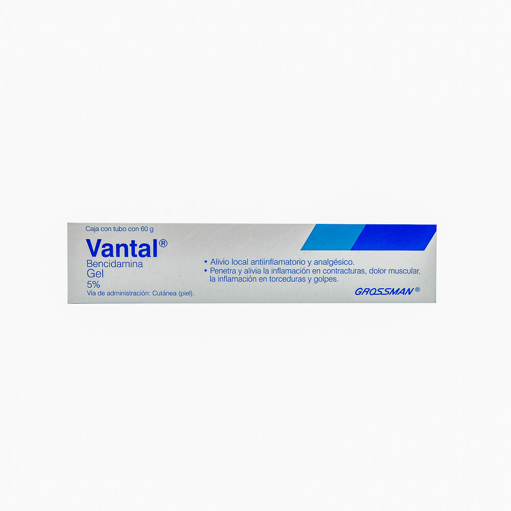 VANTAL GEL 60G BENCIDAMINA