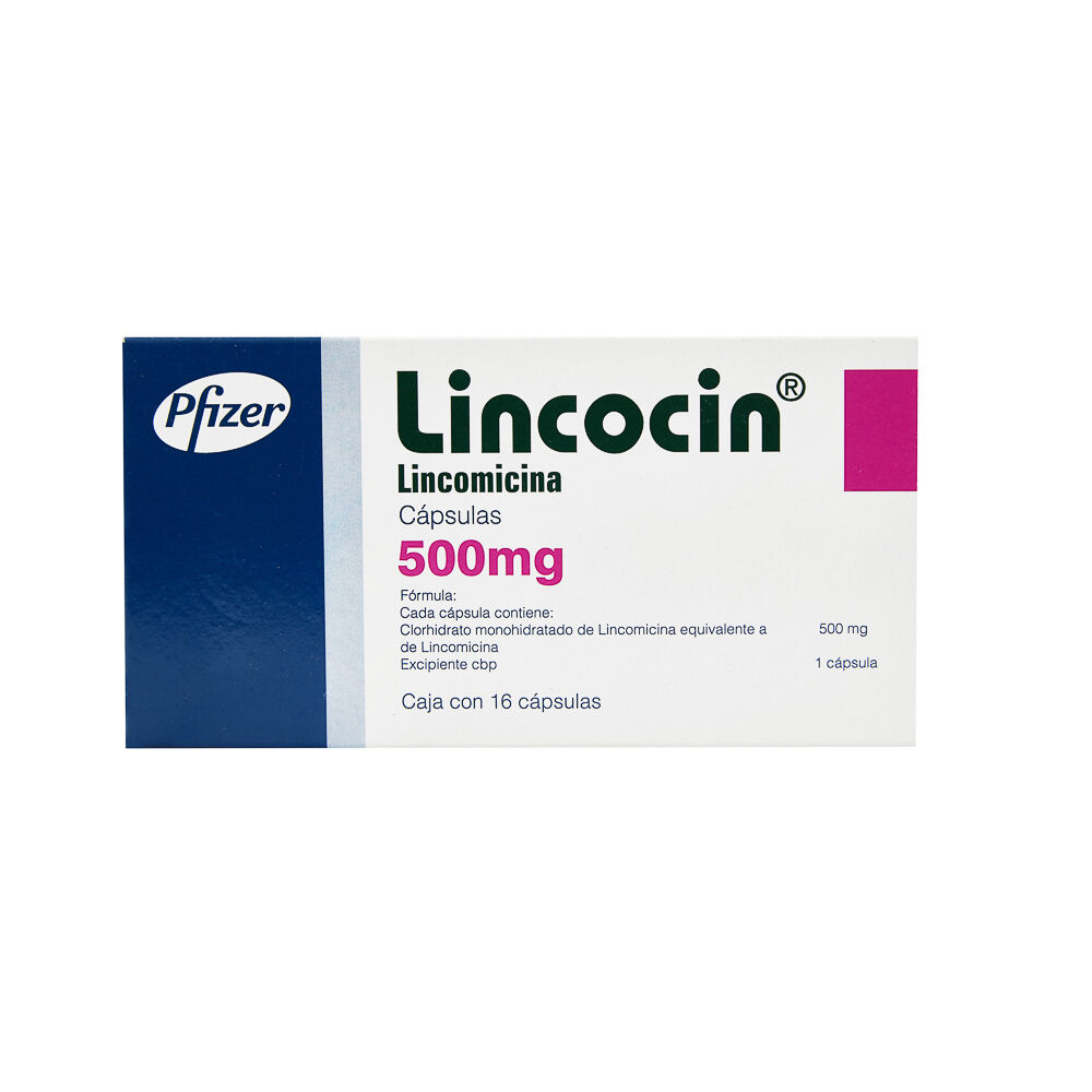 LINCOCIN 500MG C 16 CAP LINCOMICINA