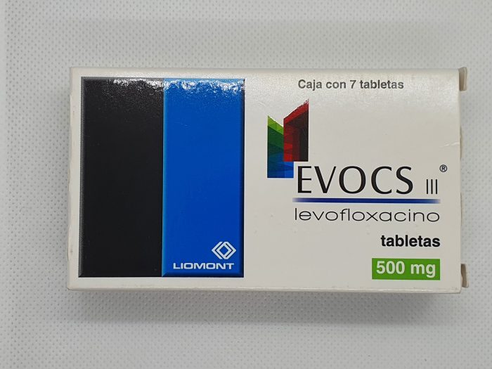EVOCS III MINIBAG 500MG IV 100ML INY LEVOFLOXACINO