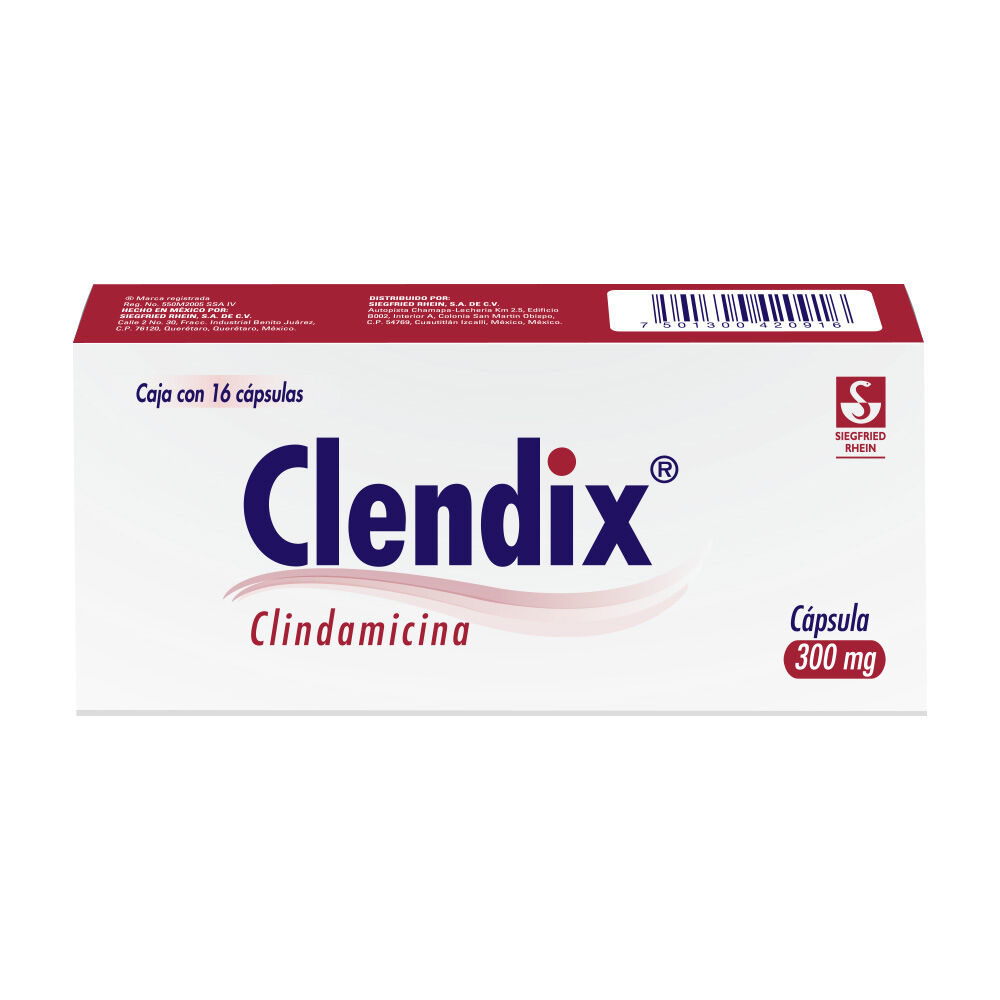 CLENDIX 300MG C 16 CAP CLINDAMICINA
