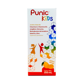 PUNIC KIDS JARABE SAB MANGO 250ML SUPLEMEN ALIMENTIC